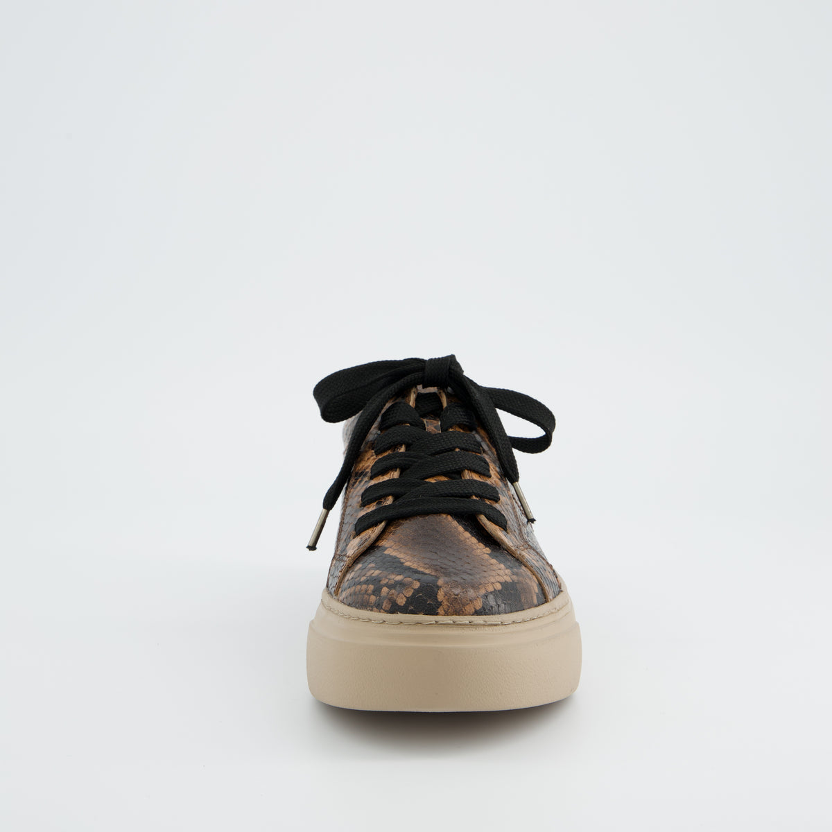 Snake Print Leather Sneaker