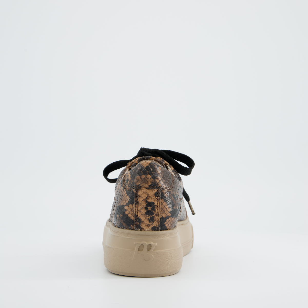 Snake Print Leather Sneaker