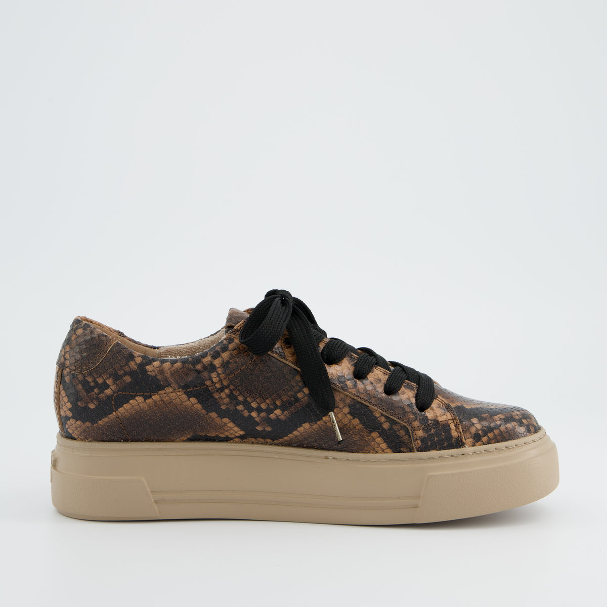 Snake Print Leather Sneaker
