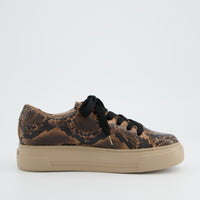 Snake Print Leather Sneaker