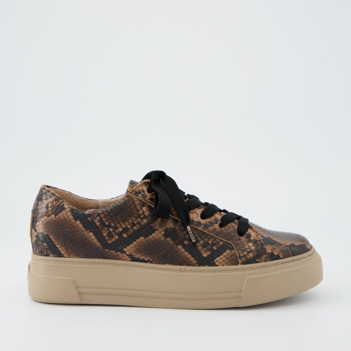 Snake Print Leather Sneaker