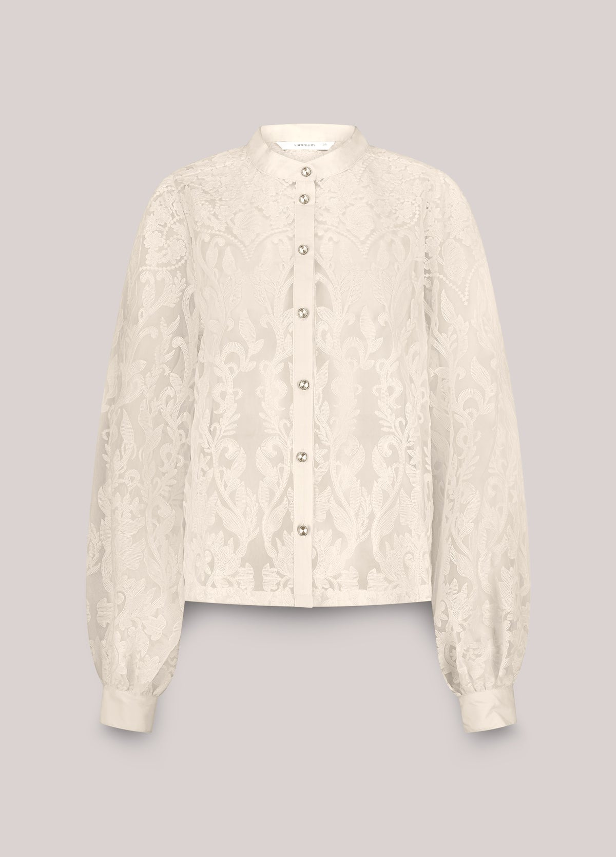 Sheer Lace Blouse