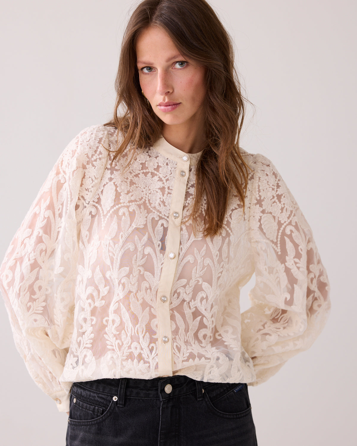 Sheer Lace Blouse