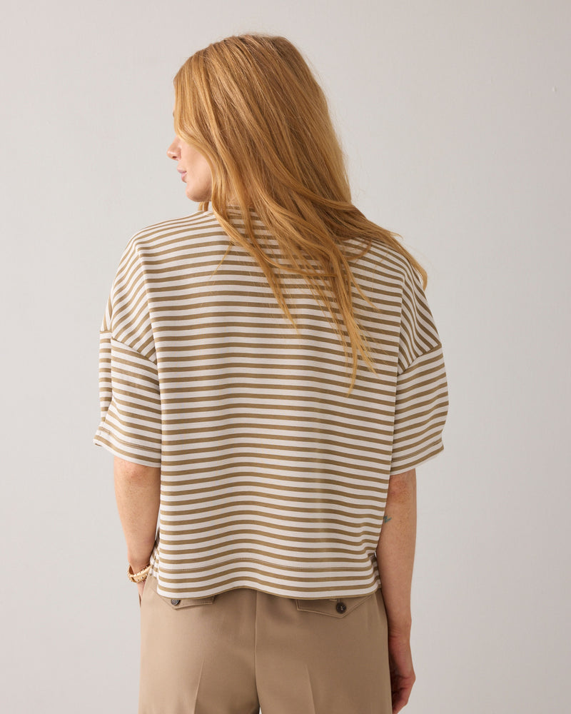 Top Striped Scuba