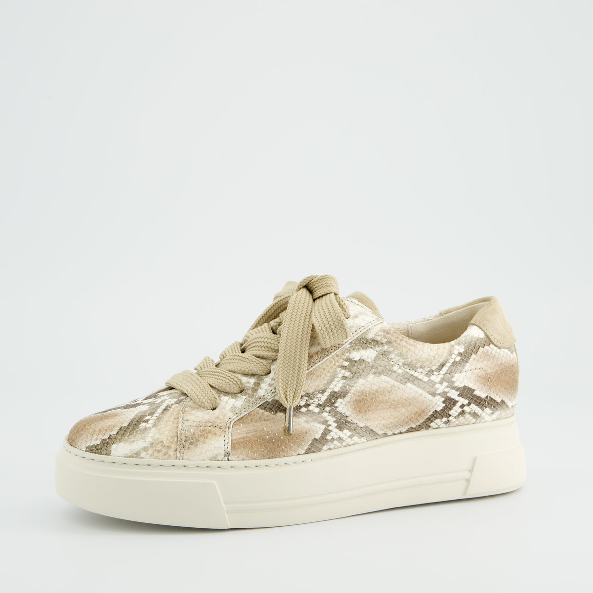 Sand Snake Platform Sneaker