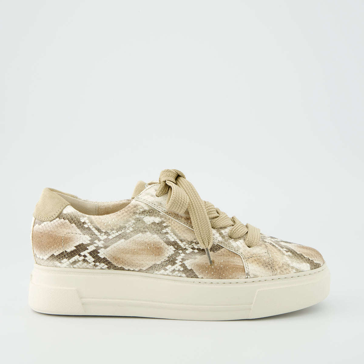 Sand Snake Platform Sneaker