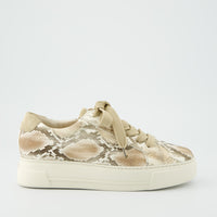 Sand Snake Platform Sneaker